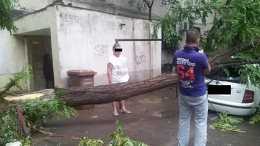 Dezastru in Capitala dupa o furtuna de cateva minute! Bilant: zeci de copaci rupti, masini zdrobite si oameni raniti