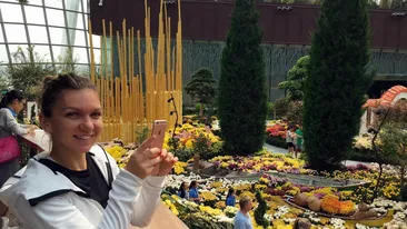 SIMONA HALEP, decizie radicală! Vedeta face un sacrificiu în noaptea dintre ani