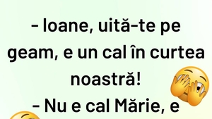 BANCUL ZILEI | "Ioane, e un cal în curtea noastră"