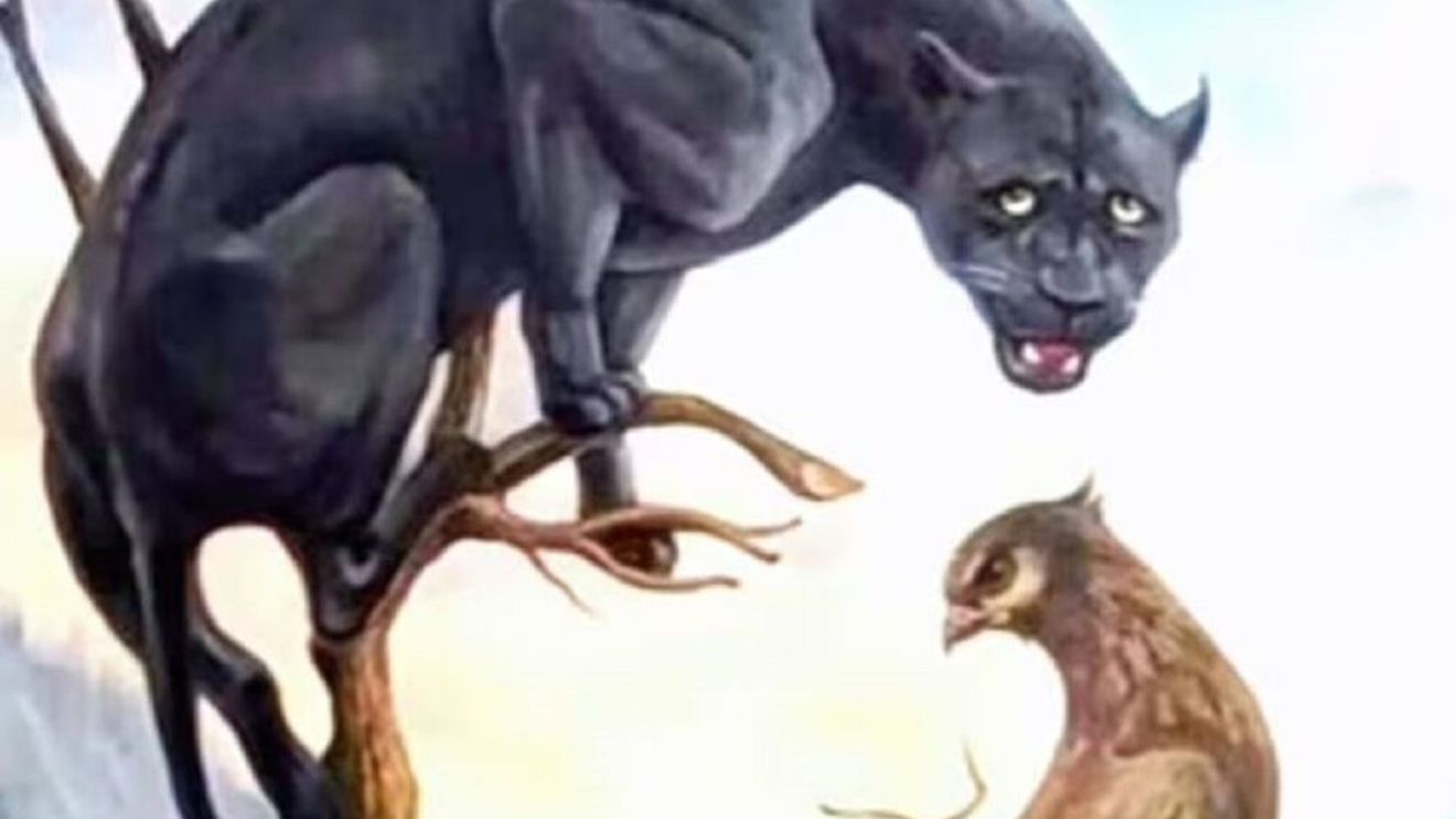 Iluzica optică a zilei | Află dacă ai stofă de lider, după ce priveşti această imagine