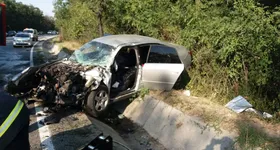 Galerie foto - poza 1