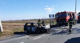 Galerie foto - poza 2