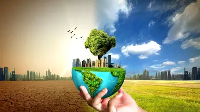 Efectele schimbărilor climatice persistă chiar și la stră-strănepoți, arată un nou studiu