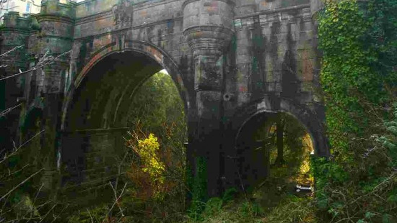 Nu exista explicatie pentru ce se intampla aici! Locul bizar in care cainii se sinucid in masa