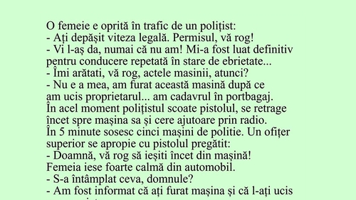 BANC | O femeie e oprită în trafic de un polițist: "Permisul, vă rog!"