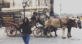 Galerie foto - poza 2