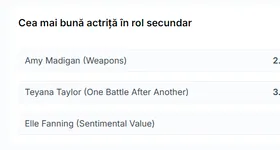 Galerie foto - poza 4