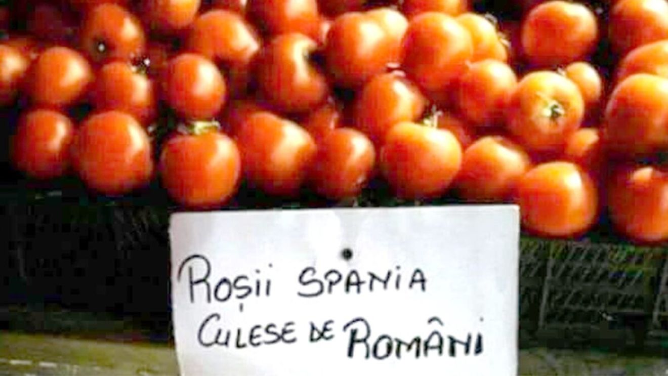 Anunț viral în piață. Cu câți lei se vinde 1 kilogram de "roșii Spania culese de români"