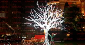 Galerie foto - poza 3