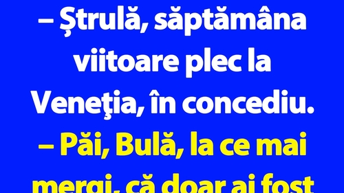 BANC | Bulă se duce în concediu în Veneția
