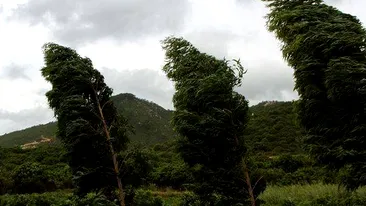 Avertizare de vant puternic in Bucuresti si 12 judete din sudul si sud-estul tarii