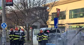 Galerie foto - poza 4