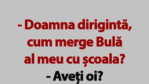 BANC | "Doamna dirigintă, cum merge Bulă al meu cu școala?"
