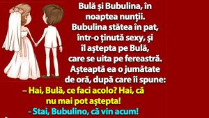 BANC | Bulă și Bubulina, în noaptea nunții: "Hai, că nu mai pot aștepta!"