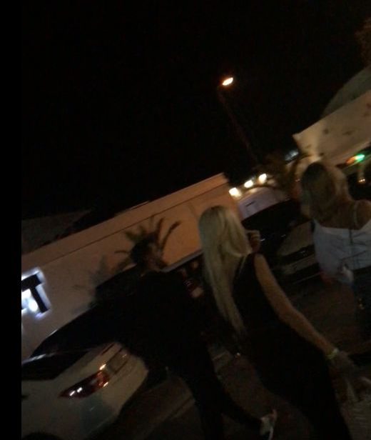 Daniela Crudu are iubit nou? A petrecut într-un club de fițe din Mamaia în compania mai multor bărbați