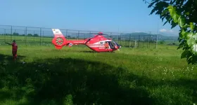 Galerie foto - poza 4