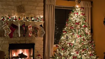 De necrezut! Cu câți lei se vinde acum un brad de Crăciun