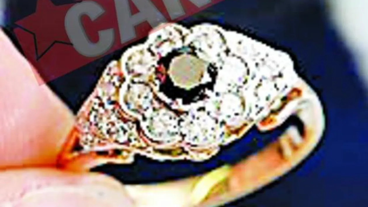 Si-a facut diamant din cenusa pisicii