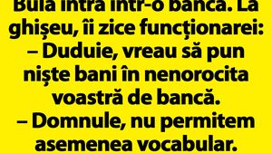 BANC | Bulă intră într-o bancă: "Duduie, vreau să pun niște bani în nenorocita voastră de bancă"