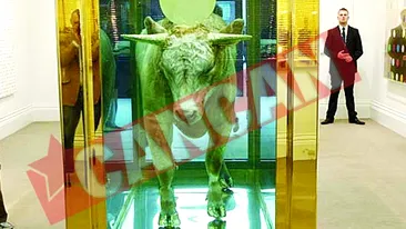 13 milioane Euro pentru un taur in formol