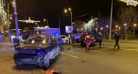 Galerie foto - poza 2