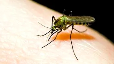 Tantarii au omorat doi romani