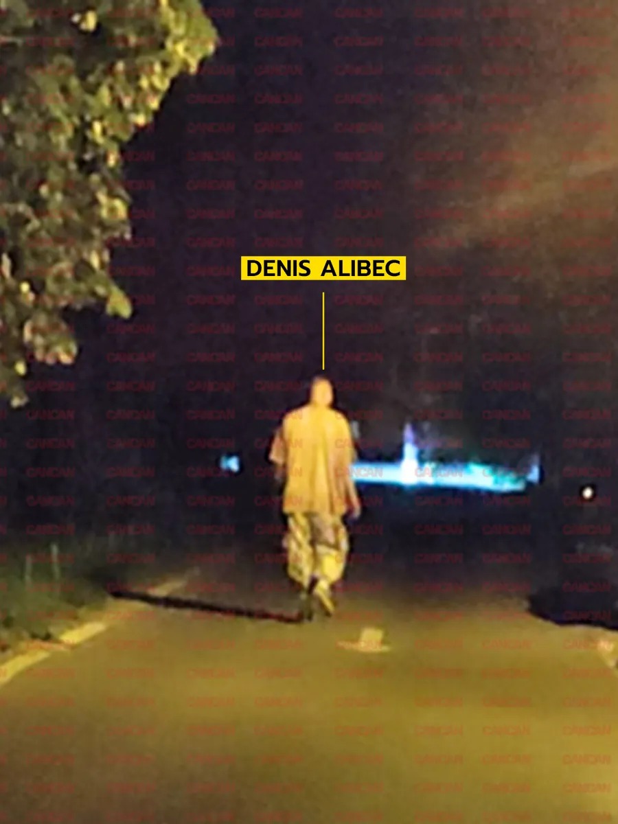 Denis Alibec se retrage spre casă