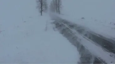 NINSOARE VISCOLITĂ în România, la sfârşitul lunii iunie VIDEO şi FOTO