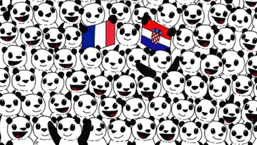 Iluzia optică ce îţi testează IQ-ul | Ai doar 11 secunde la dispoziţie ca să găseşti mingea de fotbal ascunsă între urșii panda