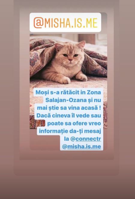 Cu lacrimi în ochi, Misha a făcut un apel disperat pentru găsirea motanului pierdut: “Vă rog din suflet să vă gândiți la Maya, că e un copil care suferă”. Artista și Connect-R oferă o recompensă uriașă