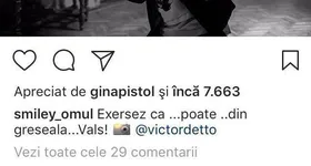 Galerie foto - poza 4