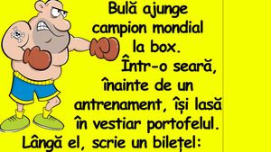 BANC | Bulă ajunge campion mondial la box