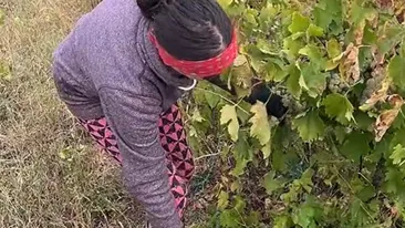 O recunoști?! O fostă vedetă de la Antena 1 a ajuns, acum, să trăiască din mila oamenilor