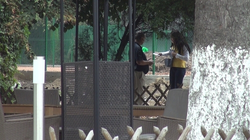 Sefa de santier....pe tocuri. Nu trece o zi fara ca Brigitte sa nu mearga sa verifice lucrarile la complexul sportiv al soltului