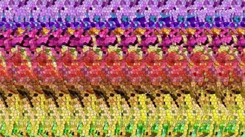TEST IQ | Doar "geniile 3D" pot descifra misterul: Ce animal se ascunde în fotografia asta?