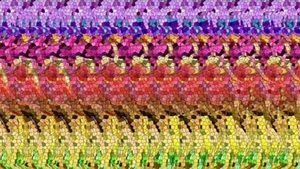 TEST IQ | Doar "geniile 3D" pot descifra misterul: Ce animal se ascunde în fotografia asta?
