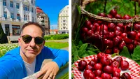 Reacția VIRALĂ a lui Dan Negru după ce a văzut cât costă un kilogram de cireșe, în piață: ”Ciocolata Dubai e pentru săraci”
