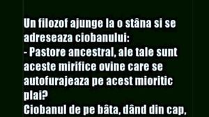 Bancul începutului de săptămână | Un filosof ajunge la o stână și se adresează ciobanului