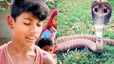 Modul incredibil prin care un copil de 8 ani a omorât un șarpe veninos: ”Reptila nu s-a clintit când mi-am scuturat brațul”