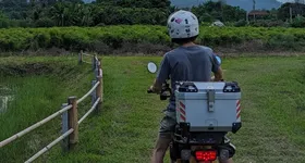 Galerie foto - poza 4