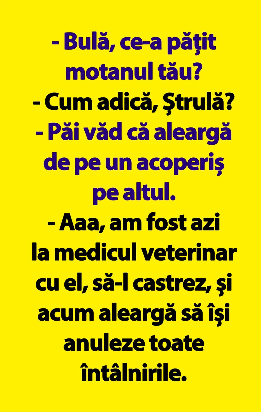 bula si strula banc