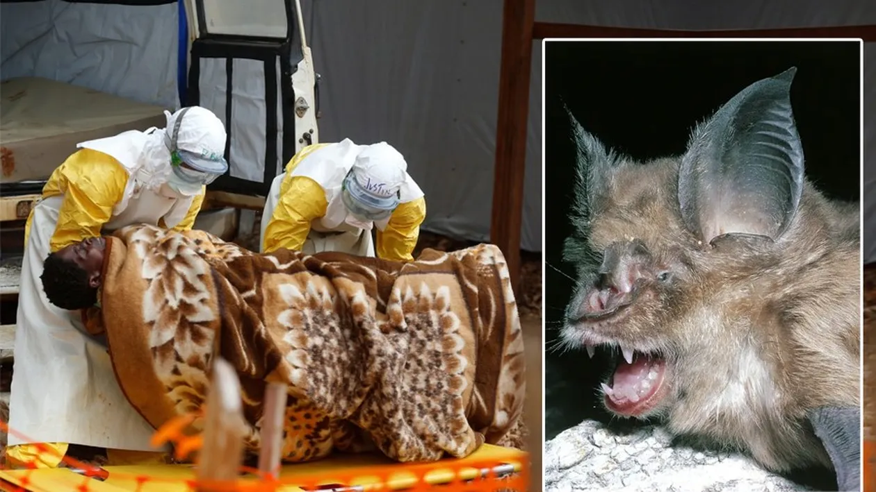 Asta schimbă tot! S-a aflat adevărul despre coronavirus