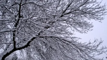 Prognoza meteo pentru luni. Ploua, ninge, este cald? Afla cum va fi vremea