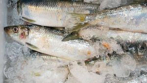 Câte luni poate fi păstrată carnea de pește în congelator, de fapt
