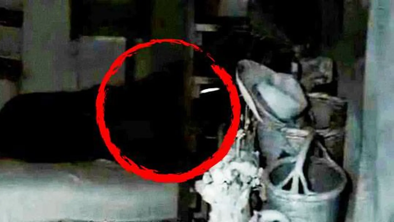 Premieră în televiziunea din România! Au recunoscut că au făcut amor la emisiune: Da, e adevărat