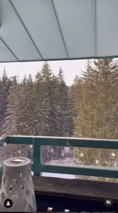 Cum arată casa de vacanță din Poiana Brașov a lui Liviu Vârciu. Artistul a apelat la o firmă de design interior
