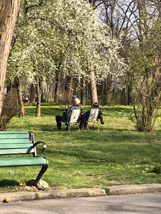 Imagini halucinante. Bucureștenii au ieșit la picnic în Herăstrău: Și-au scos măsuțele la „iarbă verde”!