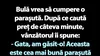 BANC | Parașuta lui Bulă