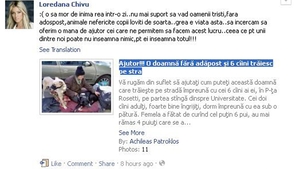 Loredana Chivu: "O sa mor de inima rea intr-o zi!" Afla de ce s-a intristat vedeta!