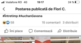 Galerie foto - poza 2